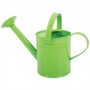 Green Watering Can BJ293